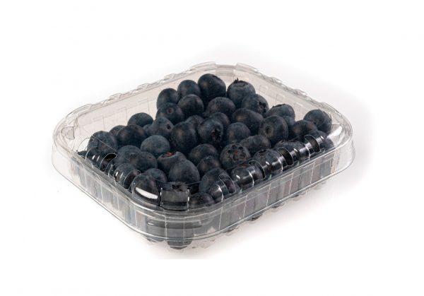 Arándanos Tarrina 125g Genérico K30