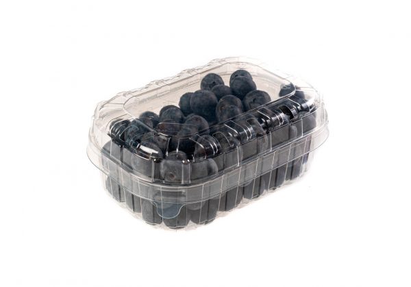 Arándanos Tarrina 125gr Genérico TR80