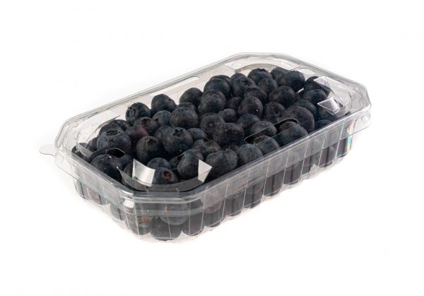 Arándanos Tarrina 250g F250