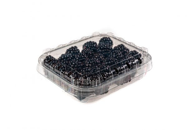 Moras Tarrina 125gr Con Tapa K37