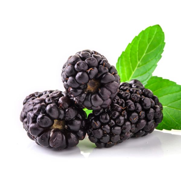 Moras - Imagen 4